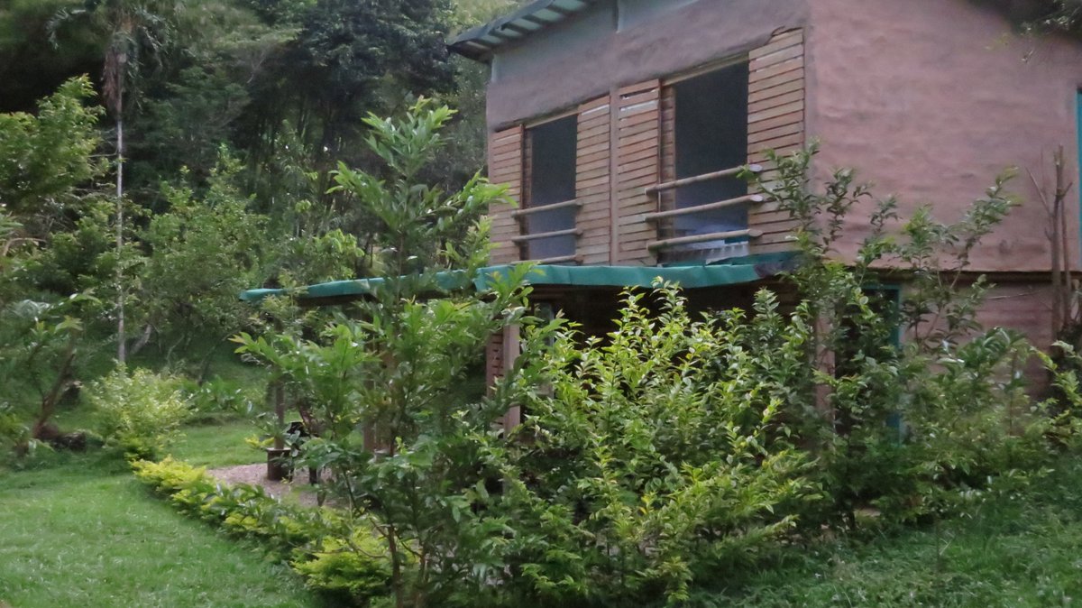 ecolodgeraices's tweet photo. #SanRafaelAntioquia,  Alojamiento Rural en armonía con la naturaleza!!. Ubicado en la vereda bizcocho. Reservas al 320 660 11 16. https://t.co/n99mp81z4J
