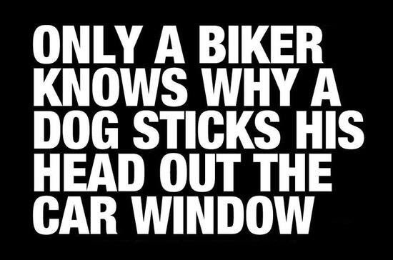 Capitol Harley tweet media