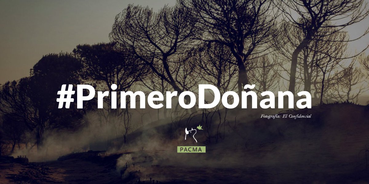 ⏳ #PrimeroDoñana porque Doñana necesita una reforestación urgente.