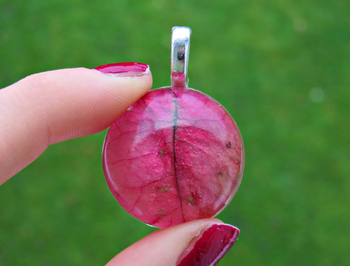 EcoFlowerLady's tweet photo. Bright pink Bougainvillea I collected from Gibraltar :)https://t.co/NrdZfw8Zix #veganjewellery #etsyuk #bougainvillea #realflower #forher https://t.co/87jfMYweQr