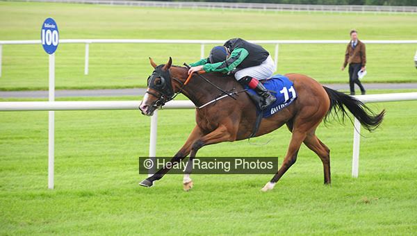 irishracing's tweet photo. Greenpanda Makes All Under Mcdonogh  @BallinrobeRaces https://t.co/58pkx69phR https://t.co/6qcAdSlIhx