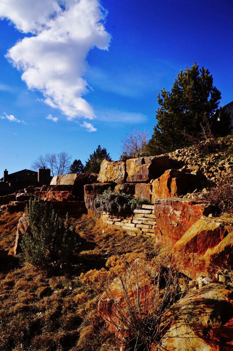 Check out FoCo's xeriscape incentive program! 
fcgov.com/utilities/resi…