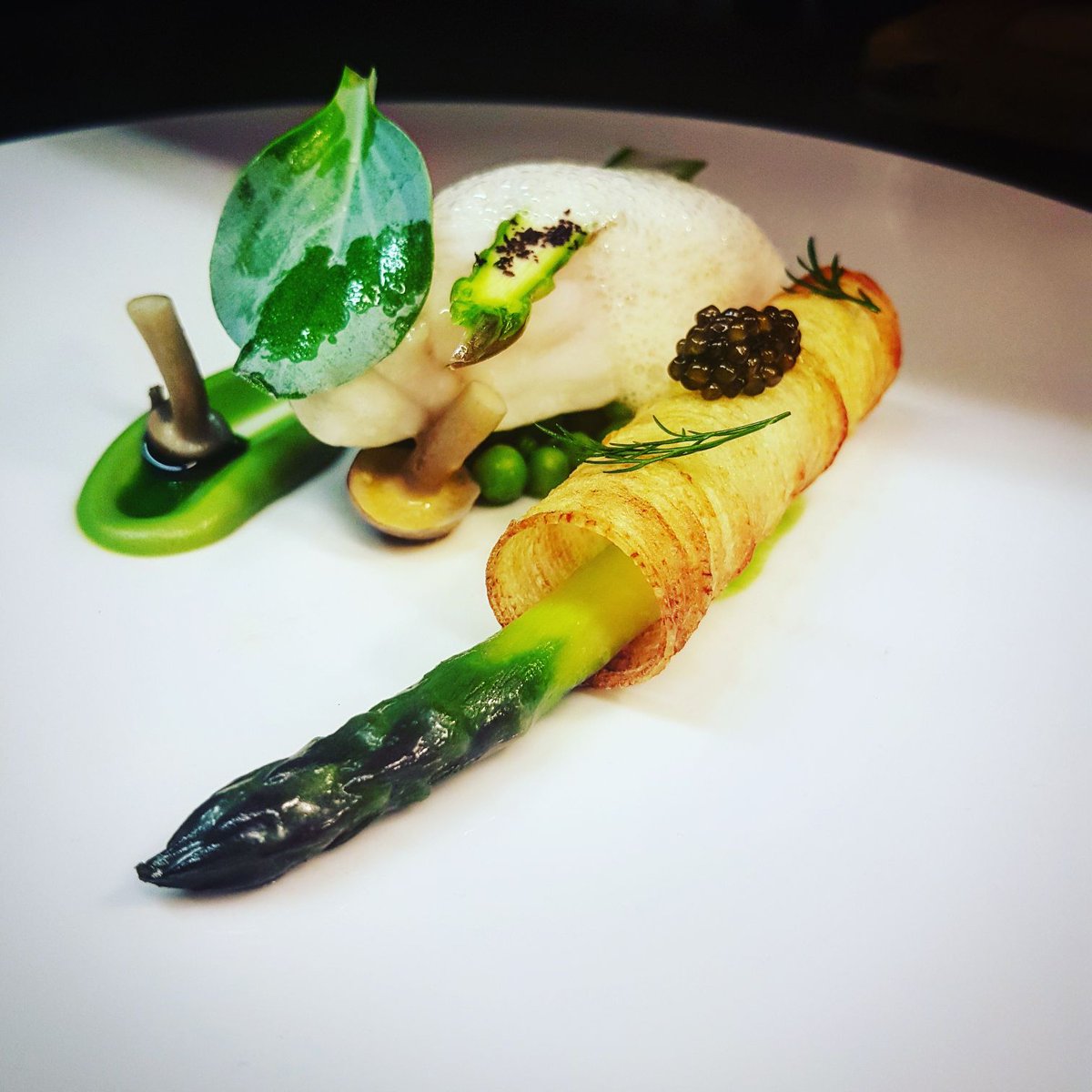 Todays Turbot <a href="/_the_GREENHOUSE/">theGREENHOUSE</a>
