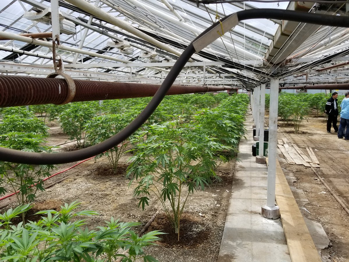 PSRUSTOCK's tweet photo. PSRU targeted MJ  MERGER!
Video clip comming from pref shareholder MMG website. Existing &amp; expand pics of the business more updates coming ! https://t.co/3yBfwXt9ey