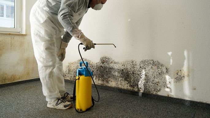 HouRickypedia's tweet photo. Does Homeowners Insurance Cover Mold? Combat This Frightful Fungus
https://t.co/TKPbZbRMZb
#Rickypedia #theRGgroup #Realtyworldmemorial https://t.co/gbr9BcxcMA