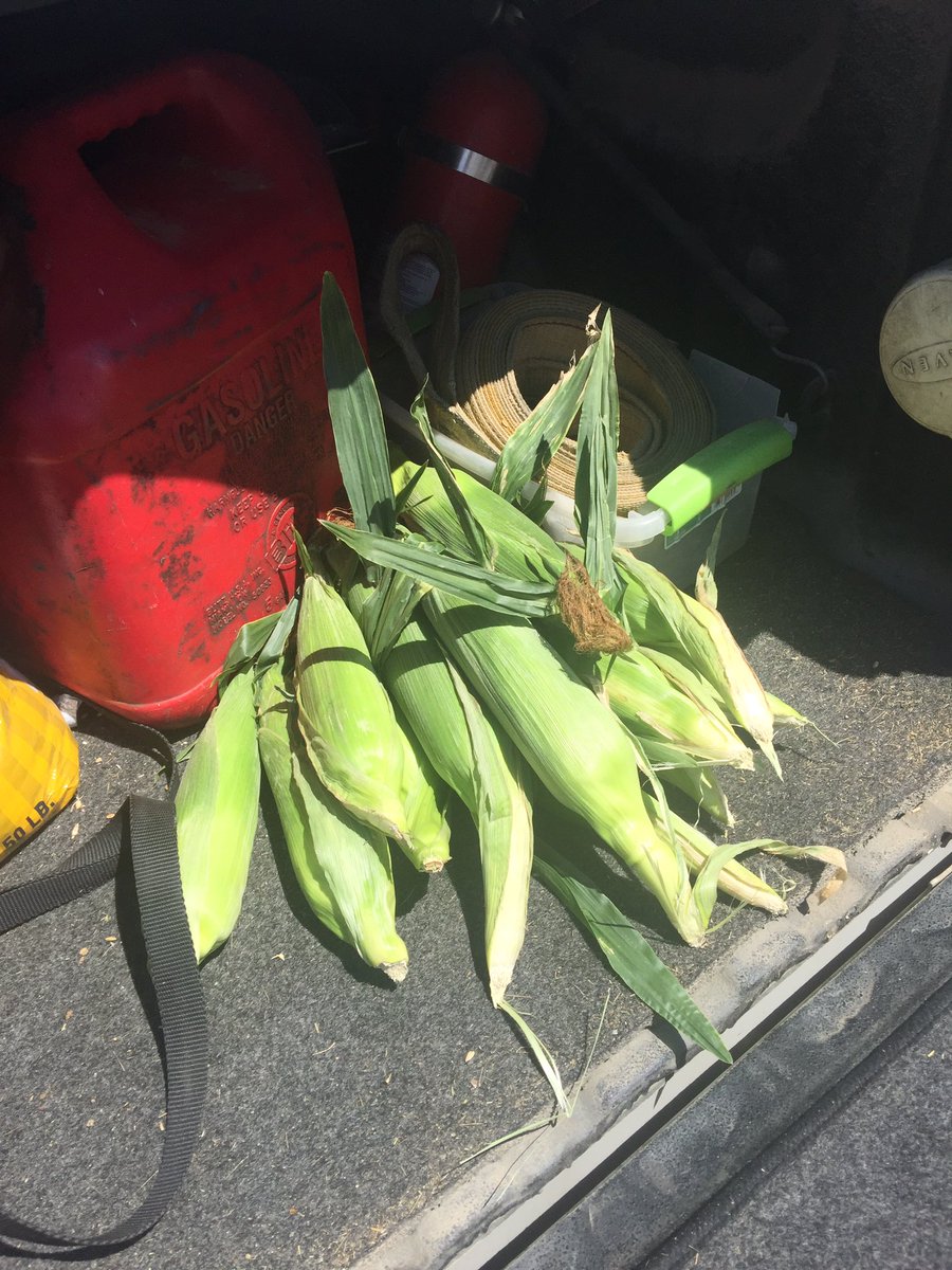djservice1's tweet photo. #farmswag https://t.co/QF5nb4qti8