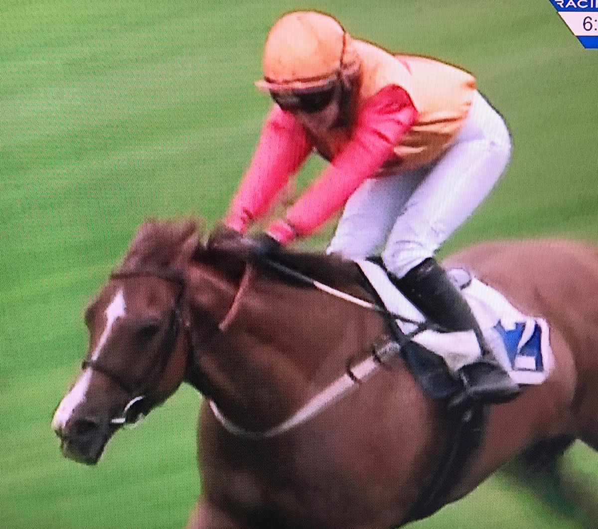 amajox's tweet photo. Congrats @amajox @Cooleyxo wins @LeicesterRaces #VimyRidge for #AlanBailey #topjock #jockeyonfire @ARO_Racing 👍👏🏆 https://t.co/U7WsH3evmr