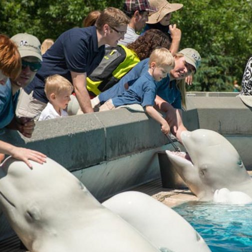 Children and parents who spend a day at Marineland are filled with wonder, excitement and self-discovery.