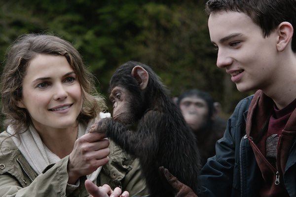 iamnotwaynegale's tweet photo. I want one. #Apeathon https://t.co/tljPq4qt1G