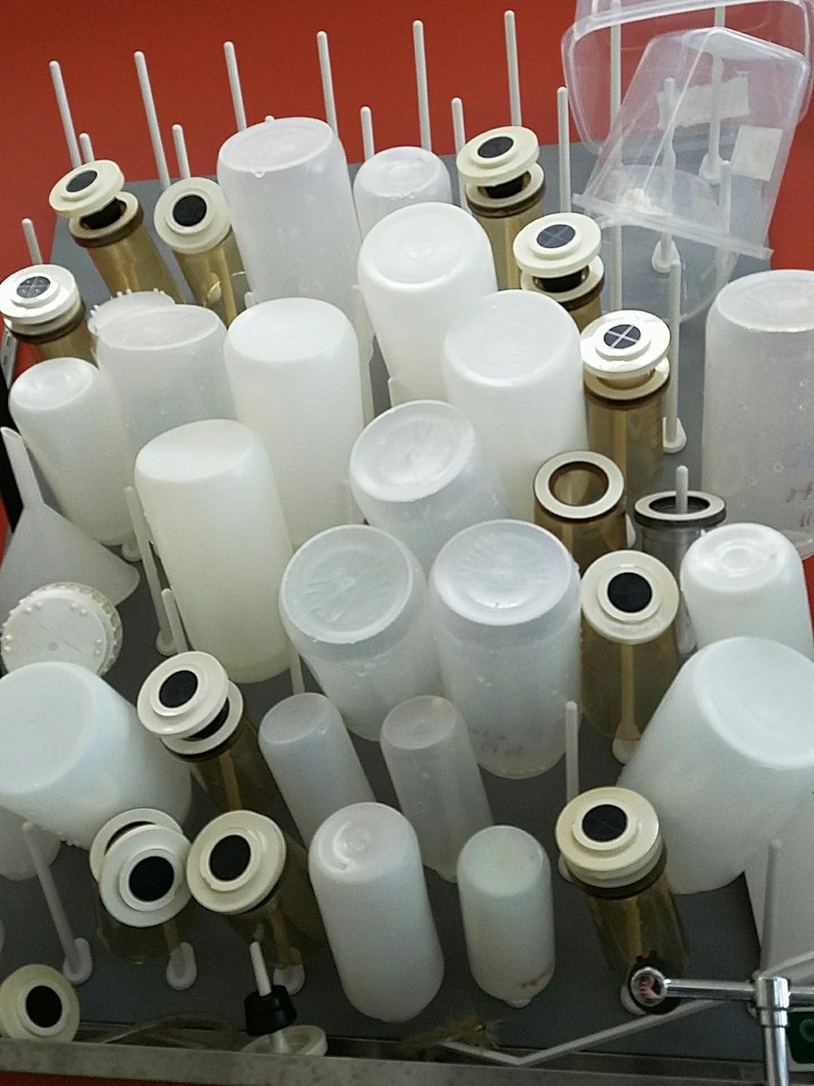 Urban Micro Ecology tweet media