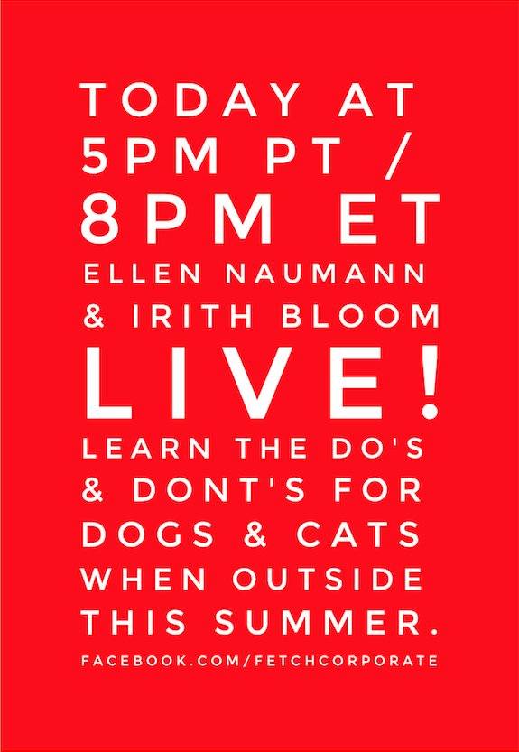 Fetch Pet Care (FetchPetCare) Twitter