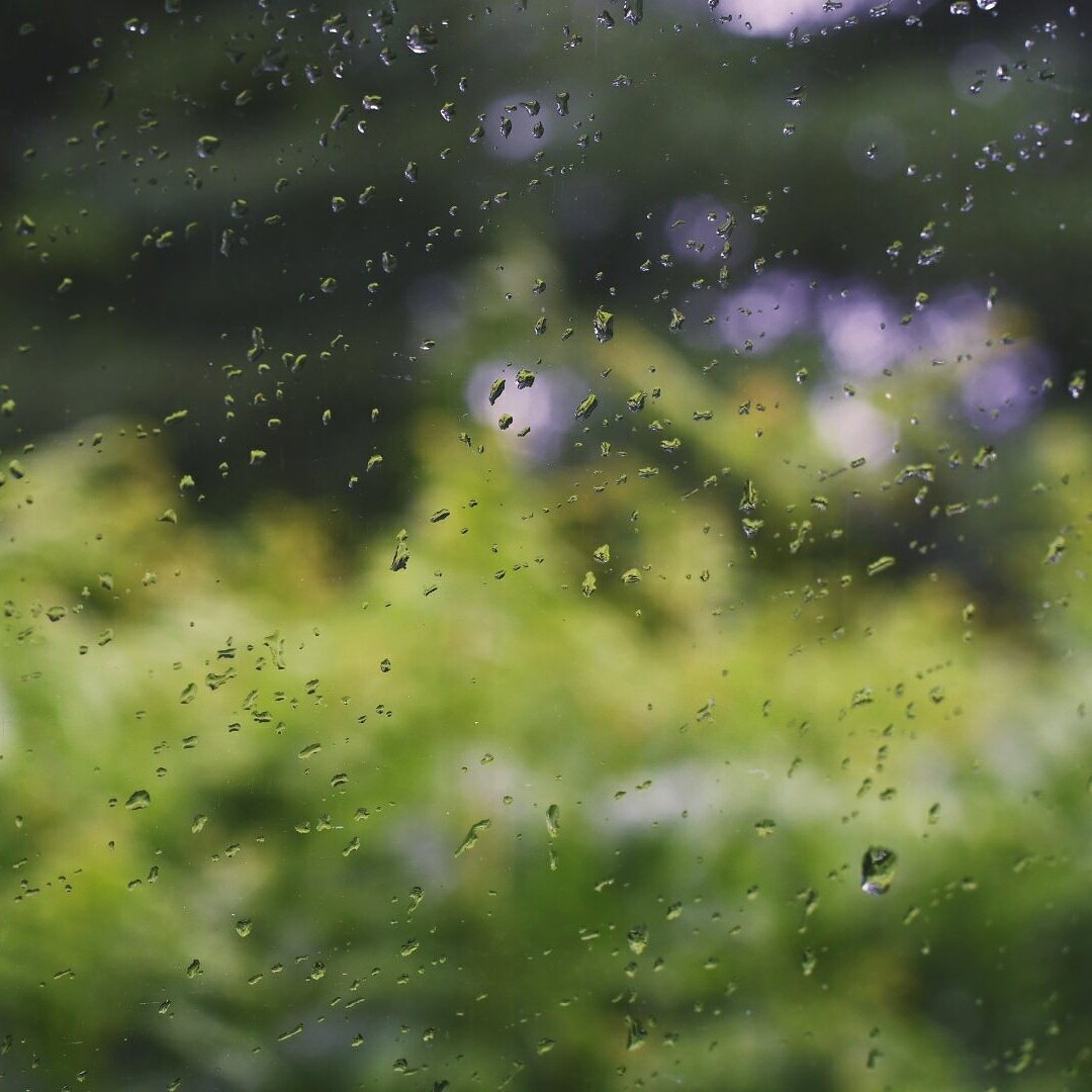 WhiteOakPhoto's tweet photo. Even the rainy day in #Northumberland can't spoil our #summer !
#photography #raindrop #rain #weather #depthoffield https://t.co/TKOssHVy39