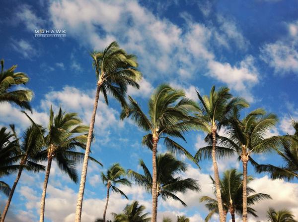 Follow808News's tweet photo. #TweetsofHawaii via @carrie_weimer https://t.co/Eonqokf3Mm