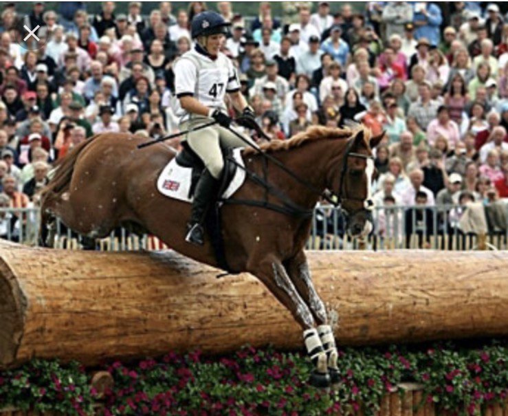 Mike Tindall tweet media