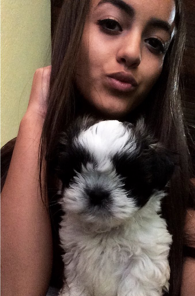 juvanna_gi's tweet photo. Minha bebê ❤️🐶 <luna3 https://t.co/sJkDhkJHL0