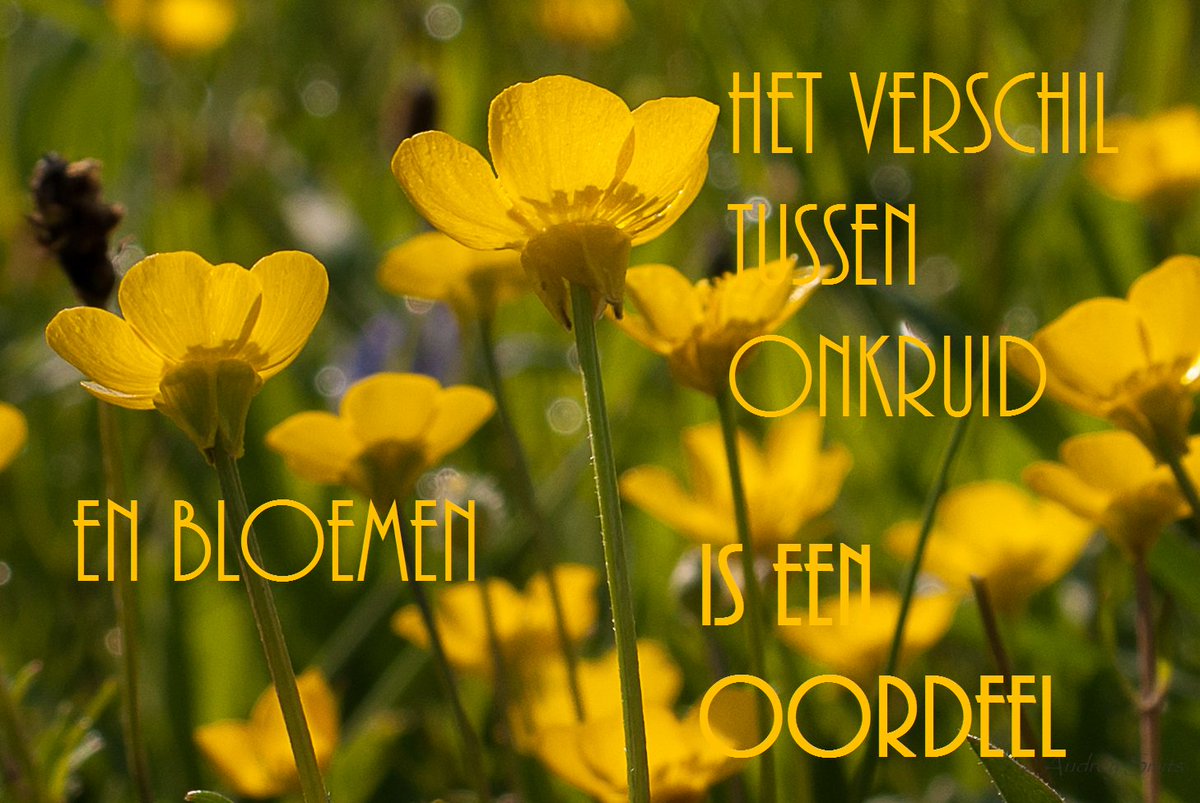 ImageIsFantasy's tweet image. 