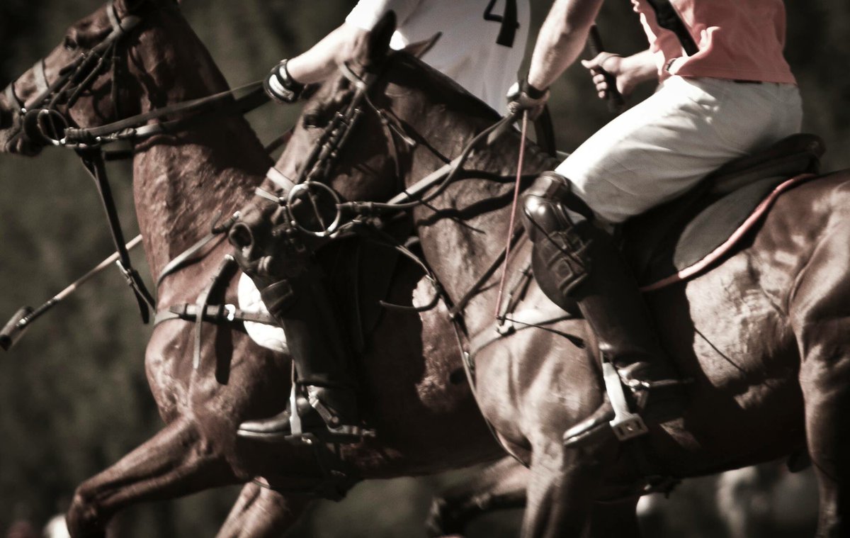VHMevents's tweet photo. The sport of Kings! Polo season is heating up with exciting events just around the corner. #fine&amp;countyambassadorcup #titanlawpoloopen https://t.co/oJg40z9rhF