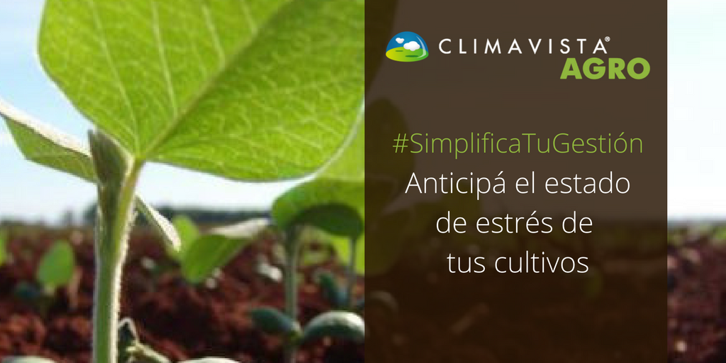 ClimaVistaAgro's tweet photo. Trabajamos para simplificar tu gestión agrícola 😊  #ClimaVistaAgro hasta 1000ha sin costo. #NoTeLoPierdas ➡ https://t.co/uBgRNjz6UW https://t.co/pPTF0xYVNe