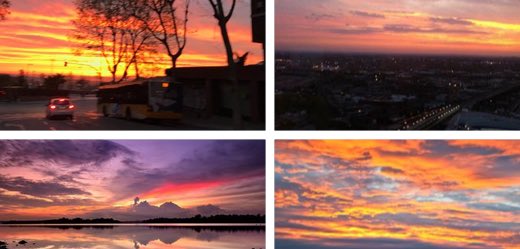 trickyphan's tweet image. 