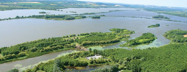 vilagfapark's tweet photo. Love Kís-Balaton! Beautiful nature reserve &amp; bird paradise.
#LittleBalaton #PeaceAndQuiet 🐦🕊️🦆 https://t.co/4NnCf7w4Bt
