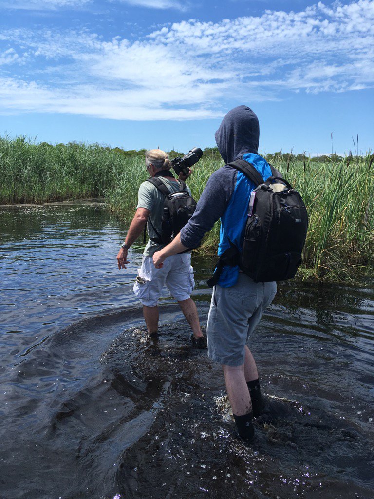 CPELVCU's tweet photo. And then we decided to walk through the island #nobugs #adventure #marshmud https://t.co/IK9vPBCo8z