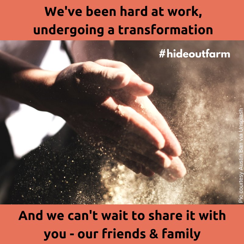 thehideoutfarm's tweet photo. Such a beautiful announcement that we've been waiting to make for a long time now. More details to come soon! #announcement #hideoutfarm https://t.co/2bl0ESShdw