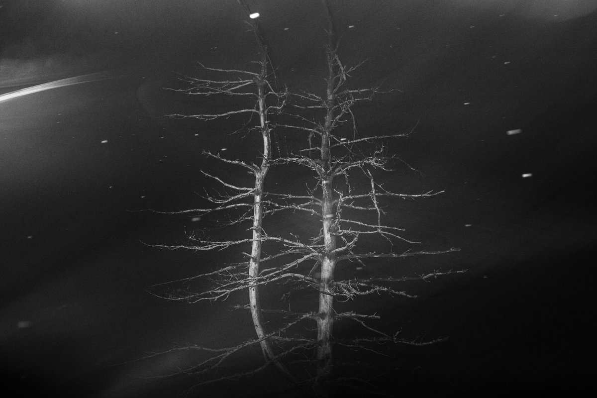 A recent experiment.