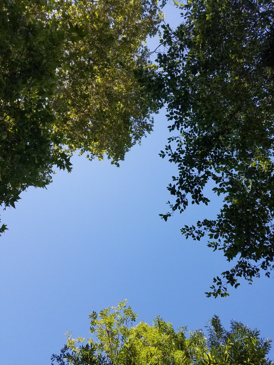 Just laying here thinking. #peace