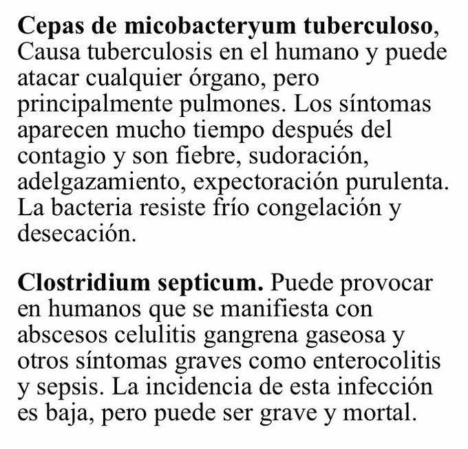 Ver imagen en Twitter
