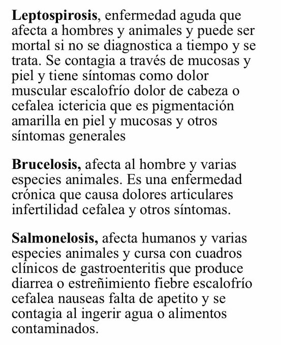Ver imagen en Twitter