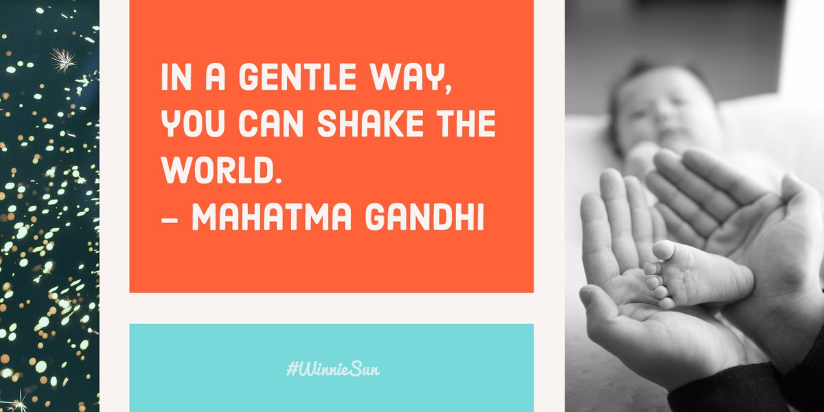 #WinnieSun ☀️ tweet media