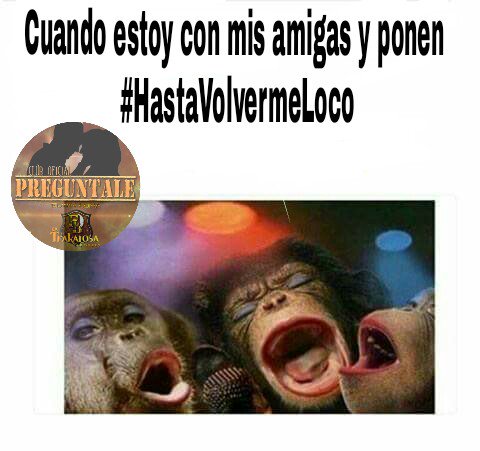 valedeluna84's tweet photo. Nosotras las #TrakaFans 😂😂😂😂 @edwinlunat @bandatrakalosa @alann_mora https://t.co/imNlPEpoPE