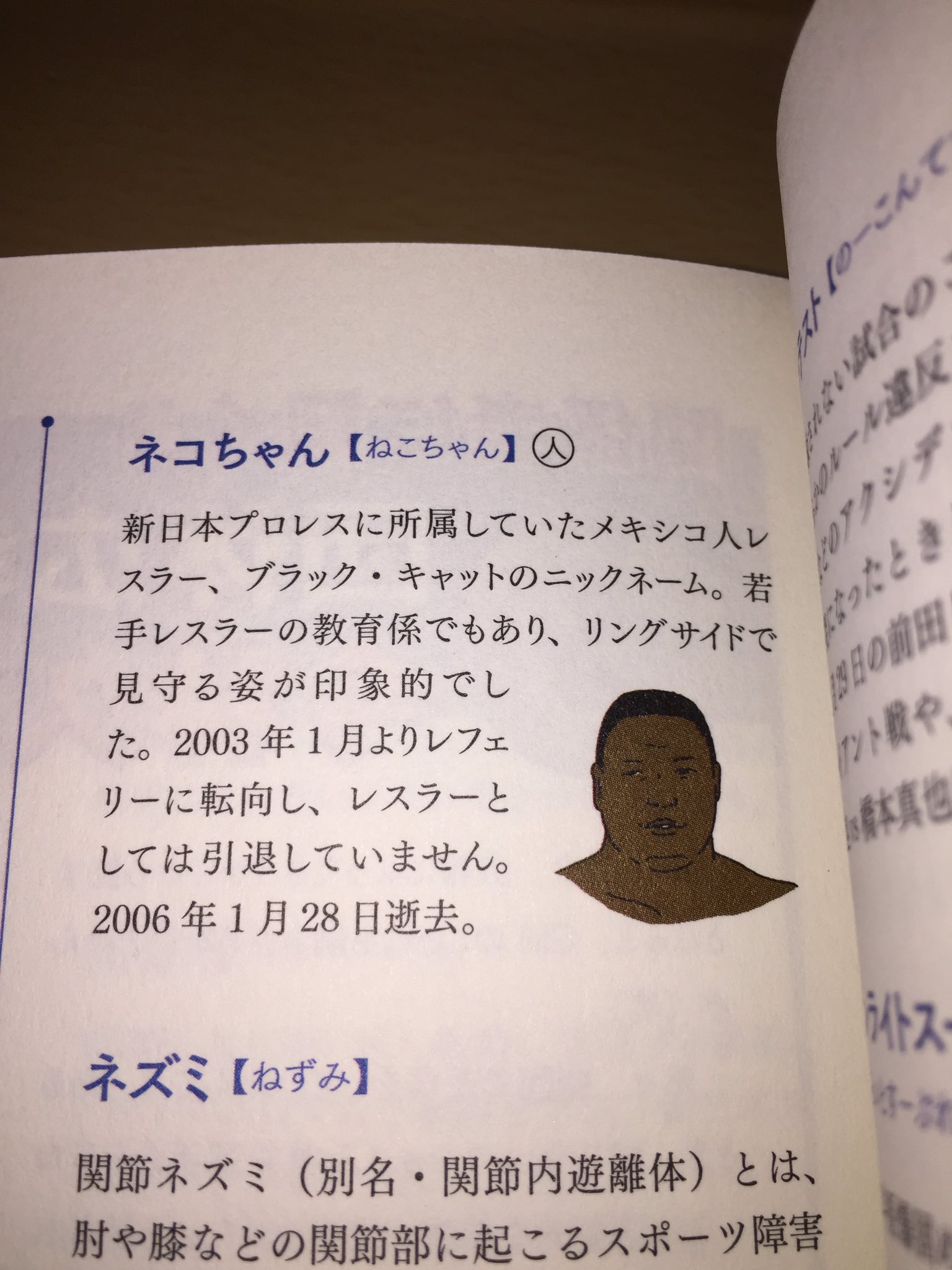 榎本タイキ Taiki Enomoto على تويتر ブラック キャットさんの奥さまが プロレス 語辞典 を購入して下さり ご主人の記事が載っていることに喜んでいるというコメントを頂きました またひとつ この本を作った意義を感じられてとても嬉しかったです ブラック