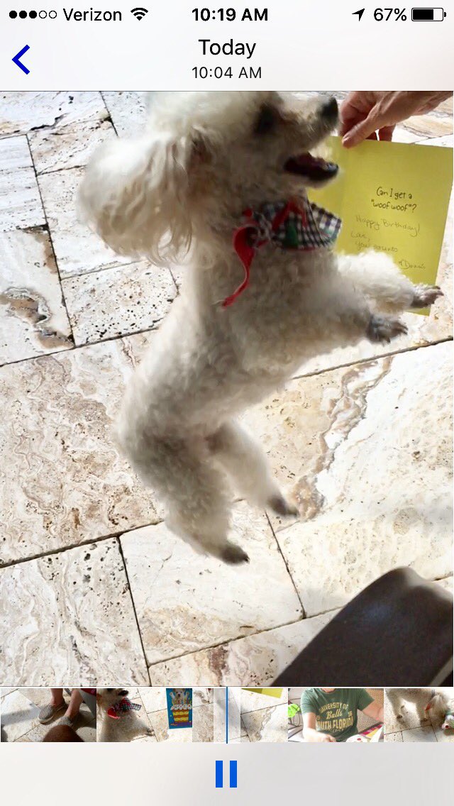 CycleMore18's tweet image. #Bellas9thbirthday