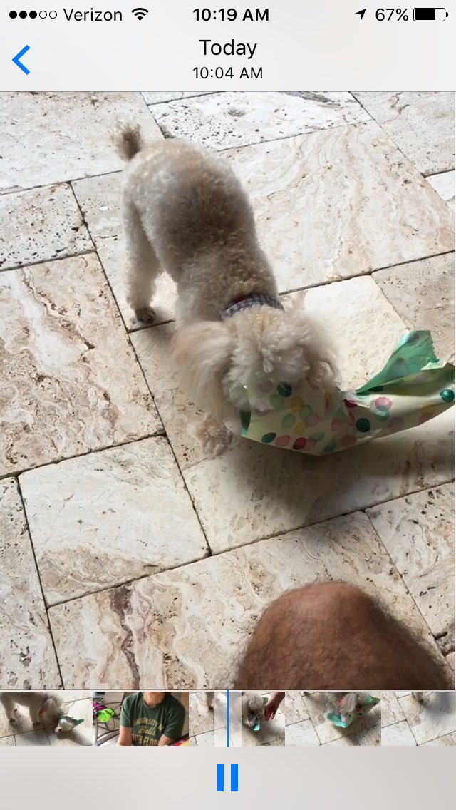 CycleMore18's tweet image. #Bellas9thbirthday