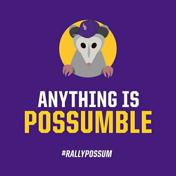 iam4lsu2's tweet photo. #GeauxTigers #GeauxCWS #NCAACWS #LSUbaseball #TigerBait #WinItForMikeVI #GeauxMaha @LSUbaseball #NeverBackDown #JustDoItYourWay https://t.co/xkbYz0aFYG