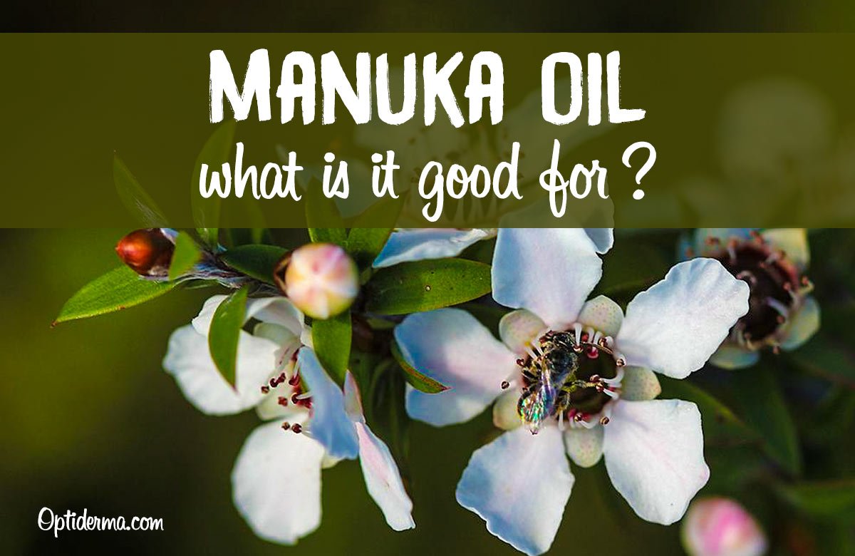 optiderma's tweet image. The Benefits of Manuka Oil sumo.ly/C0ck via @optiderma