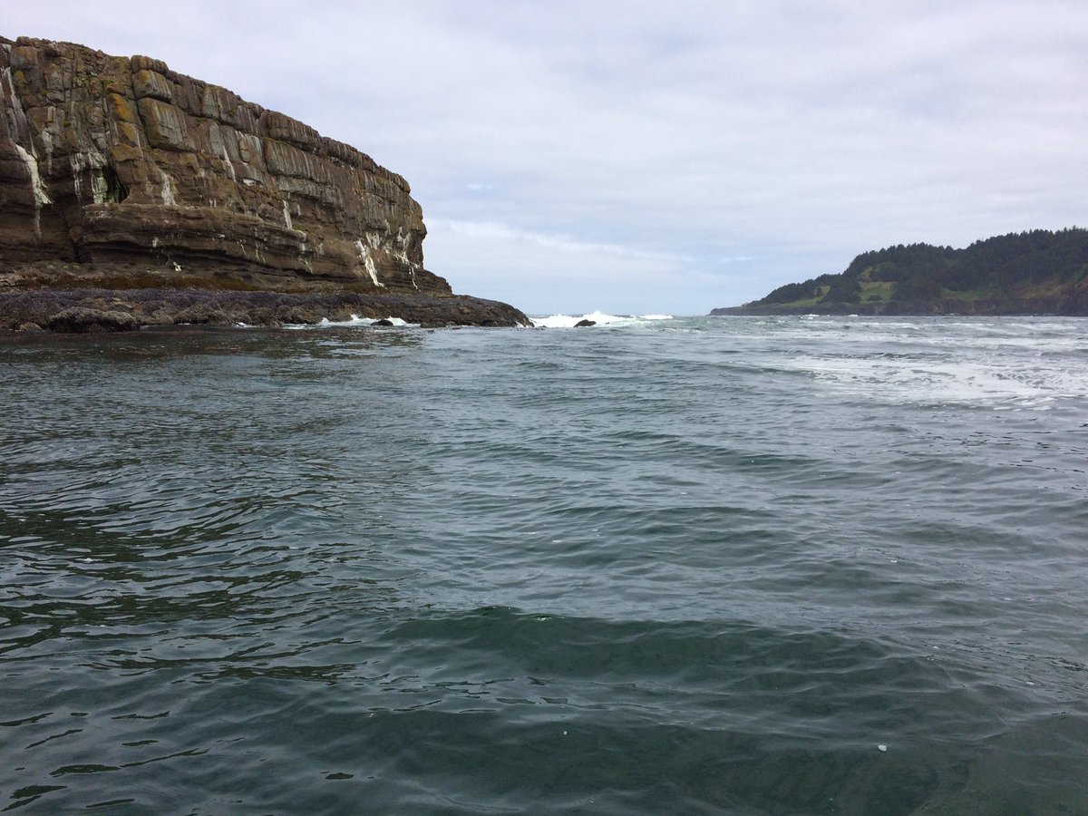 #otterrock #marinereserve scuba surveys complete! 14+ dives, 10 divers, >1000 meters surveyed! <a href="/ODFWConserve/">ODFW Conservation</a> thanks to <a href="/orcoastaquarium/">Oregon Coast Aquarium</a>
