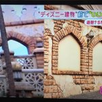 ユニバ強い!ディズニーとユニバの迷惑客の対応の仕方の違いはこれ!