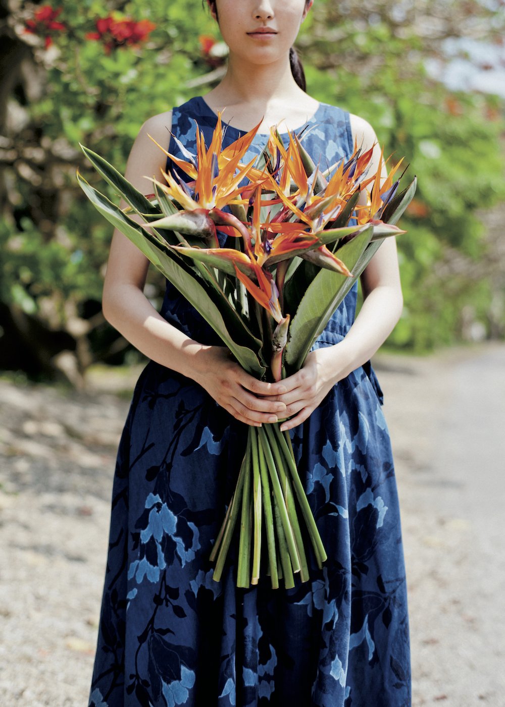 O Xrhsths And Premium Sto Twitter 毎号 最初のページはいつも季節の花から 奄美大島で見つけたストレリチアの 華やかな色が 夏の旅へと誘います ル ベスべの木津谷優子さんがおすすめする花瓶は インディゴブルーのガラスのもの Photo Yuko Yasukawa