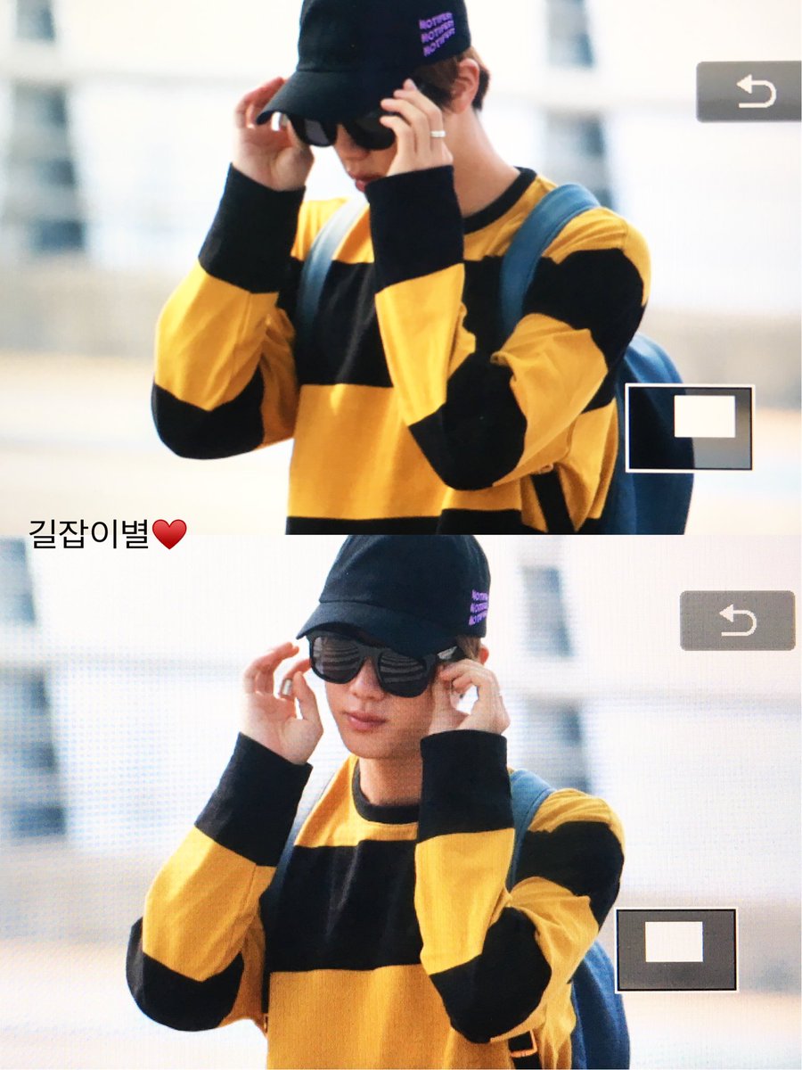 170628 찐 인공출국🐶 안녕 오랜만이야 꿀벌옷 입었네🐝❤️ <a href="/BTS_twt/">방탄소년단</a> 
#방탄소년단 #석진 #진 #Jin