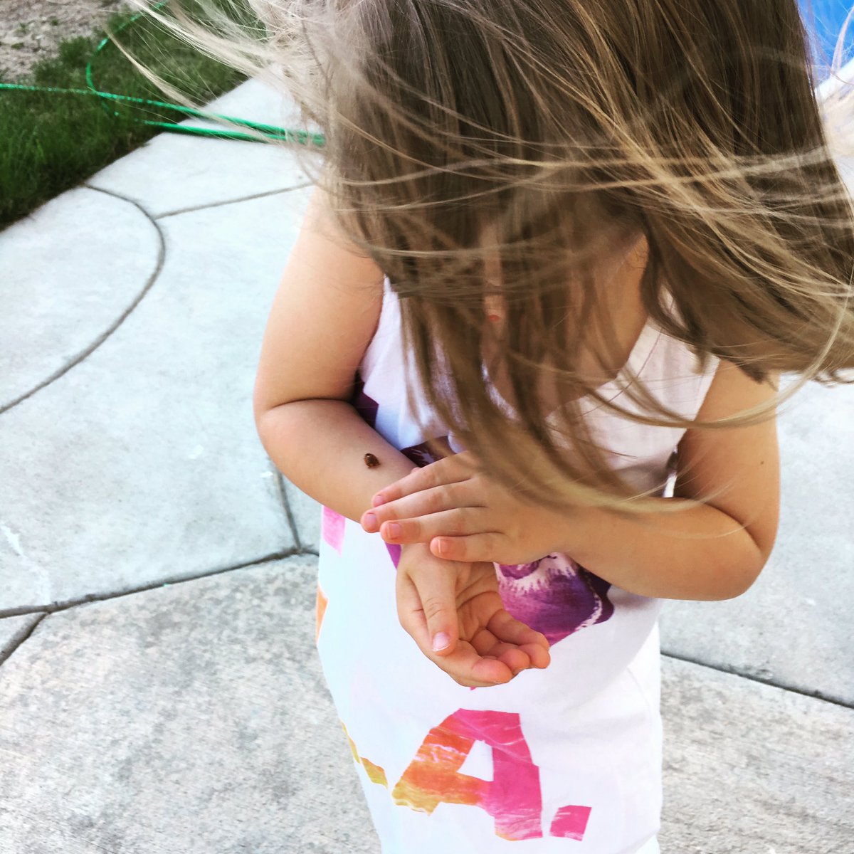 When you make a new friend and don't want to let go #toddlerlife #Ladybug #kids #playingoutdoors