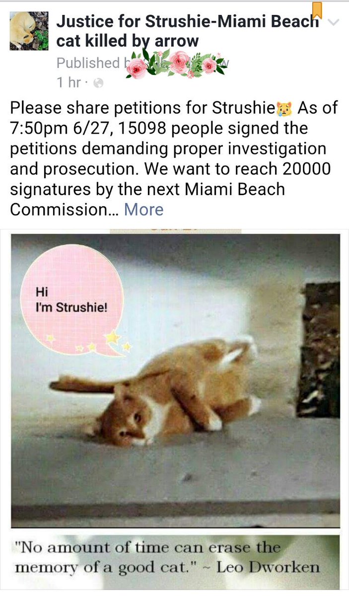Please RT for Strushie😿 #MiamiBeach #cat <a href="/MayorLevine/">Mayor Philip Levine</a> <a href="/MiamiBeachPD/">Miami Beach Police</a> <a href="/Mike_Grieco/">Michael Grieco</a> <a href="/rosengonzalez/">KristenRosenGonzalez</a> @MBPDChiefOates change.org/p/miami-beach-…