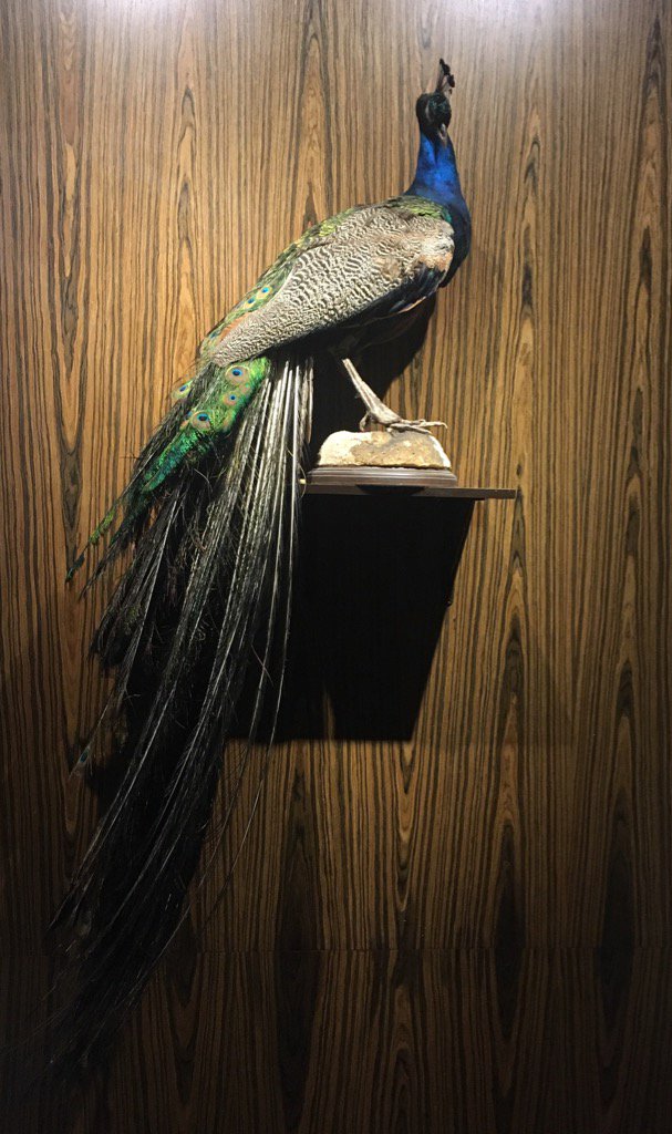 BASE of difference💡 tweet media