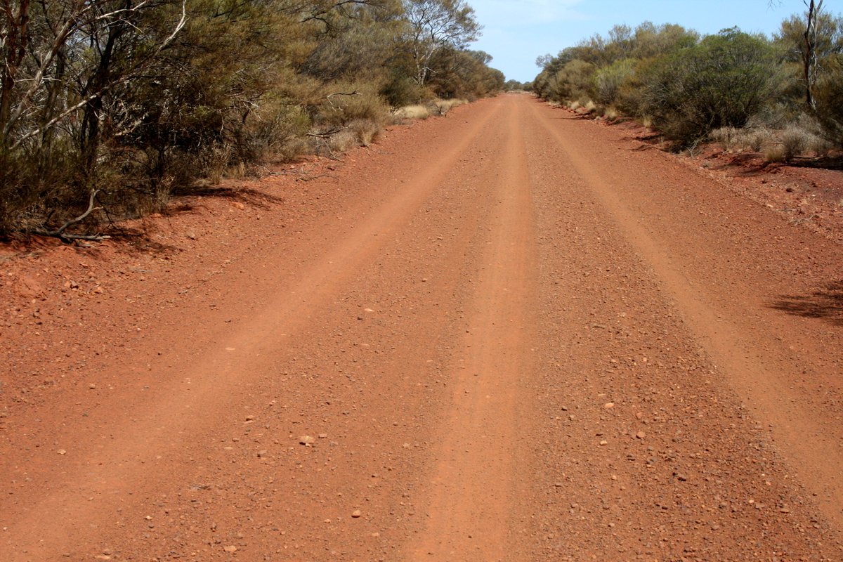 AustFieldOrnithology (@afoonline) on Twitter photo The road where one of Australia's most mysterious birds was spotted - the Night Parrot. Read it here - birdlife.org.au/afo <a href="/BirdlifeOz/">BirdLife Australia</a> The road where one of Australia's most mysterious birds was spotted - the Night Parrot. Read it here - birdlife.org.au/afo <a href="/BirdlifeOz/">BirdLife Australia</a>