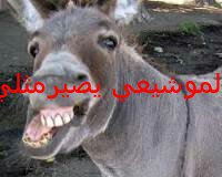 انا الرافضي (@077128397aa) on Twitter photo 