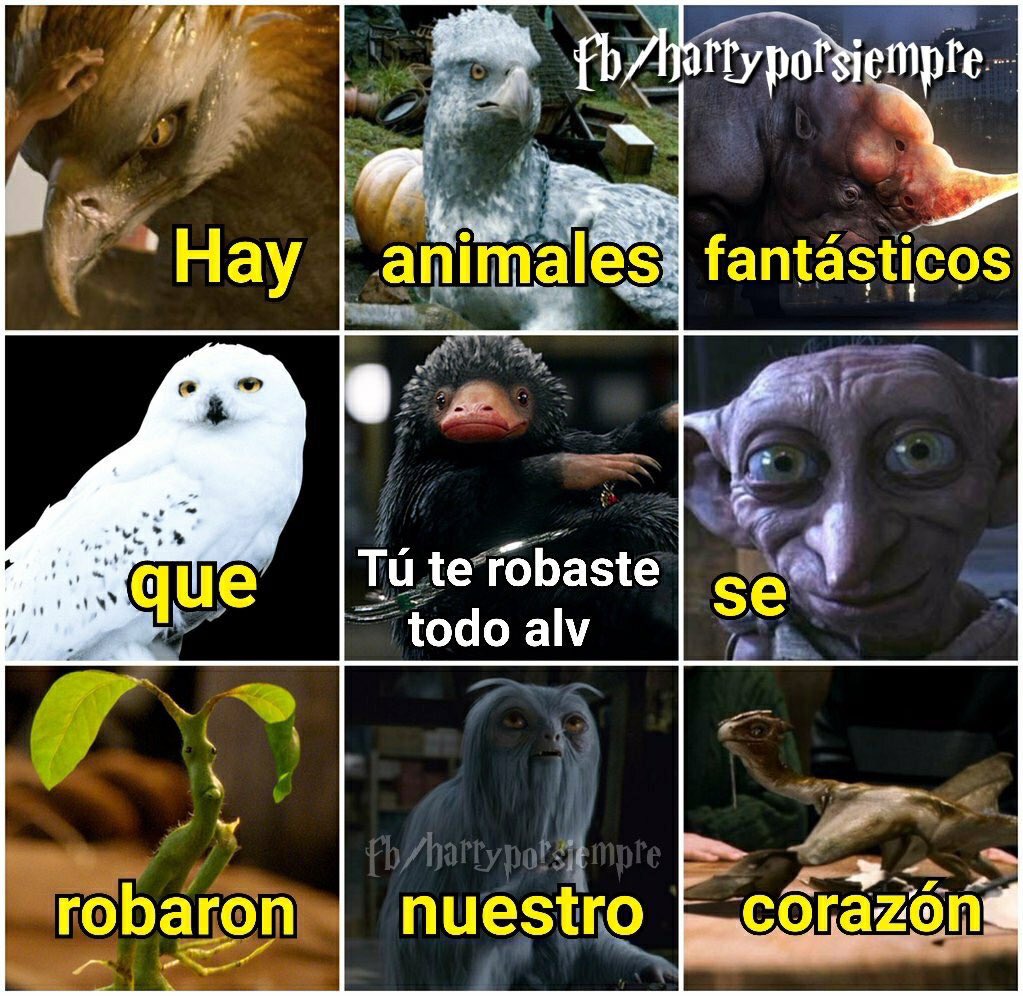 😂😂😂😂