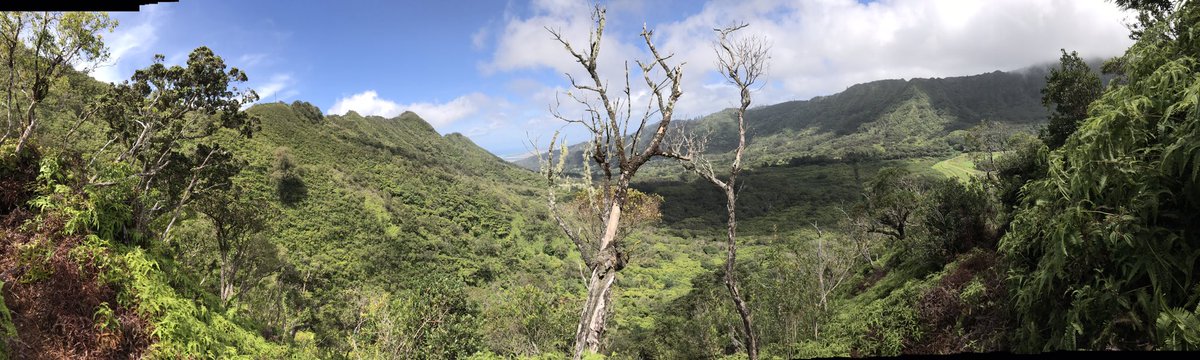 Hmmm today... Hiked through/in a jungle🎍 Saw a waterfall Climbed a ...