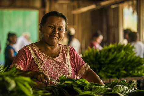 USAID's tweet photo. JOIN US on Instagram 4 #DCATakeover Day 5: Timber harvest & #forest protection combine in #Guatemala. #DCAStories https://t.co/3hARQF6Ylk https://t.co/afhsVFxeAa