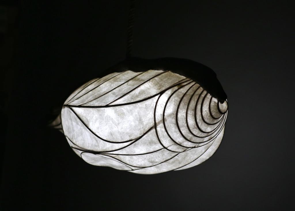 sannder's tweet photo. Estas son las 8 lámparas hechas hasta el momento,  pronto a la venta bajo el nombre "Oröki : Esculturas de Luz" #3 #oroki #artecr #costarica https://t.co/GWnQinydnC